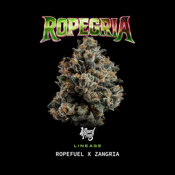 Ropegria Feminised (Wizard Trees Genetics) Cannabis Seeds