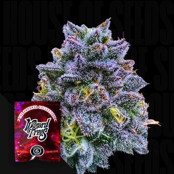 Uvaz Feminised (Wizard Trees Genetics) Cannabis Seeds