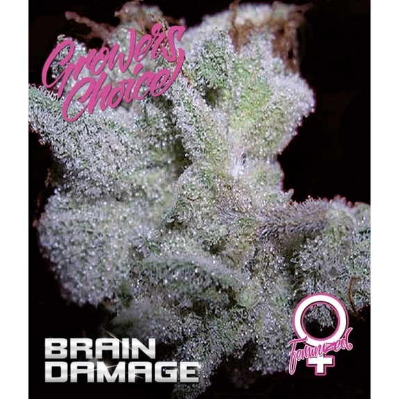 Brain Damage Cannabis Seeds