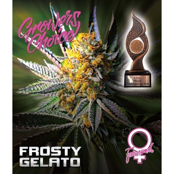 Frosty Gelato  Cannabis Seeds