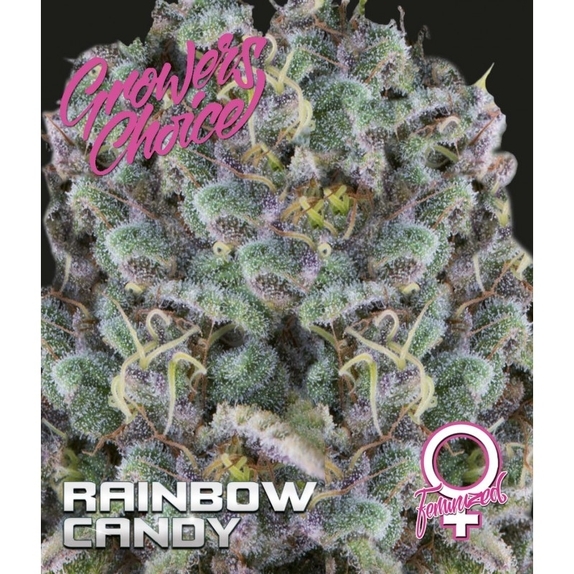 Rainbow Candy  Cannabis Seeds