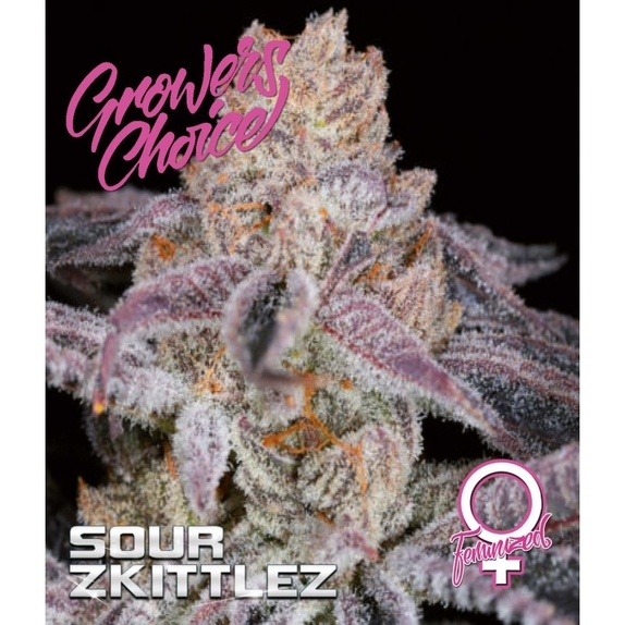 Sour Zkittlez Cannabis Seeds