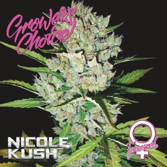 Nicole Kush Cannabis Seeds