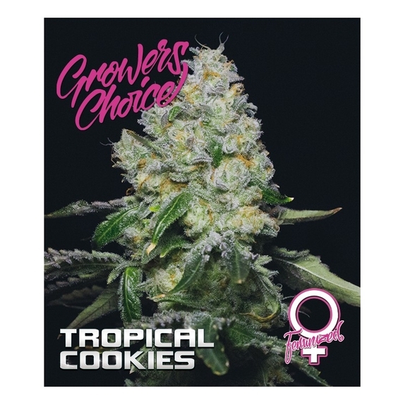 Tropical Cookies Cannabis Seeds