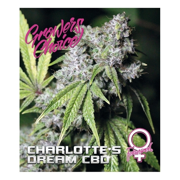 Charlottes Dream CBD Cannabis Seeds