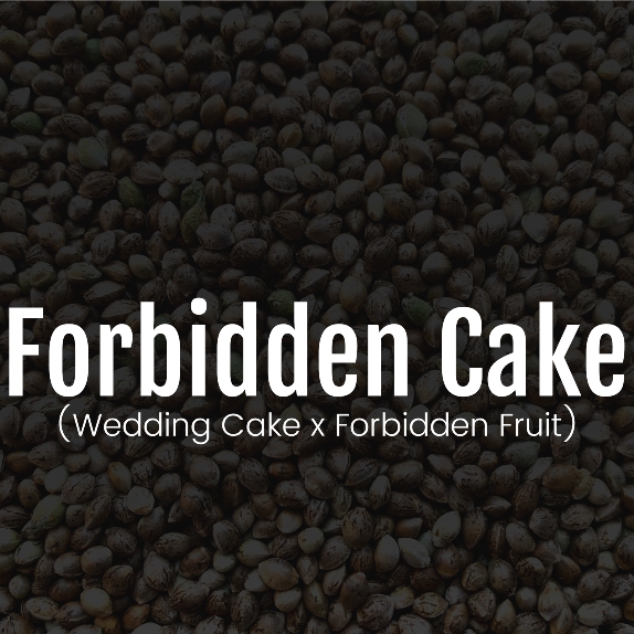 Forbidden Cake Feminised Cannabis Seeds