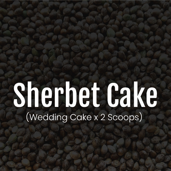 Sherbet cake Feminised Cannabis Seeds