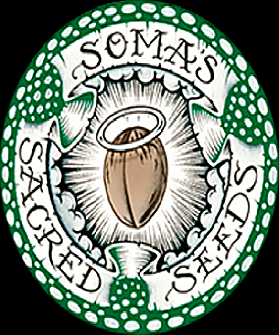 Soma Salad Feminised Cannabis Seeds