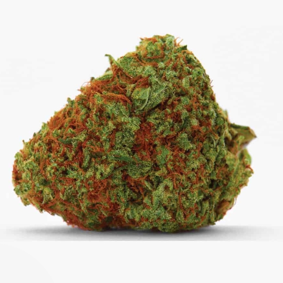 Orange Bud Auto Feminised Cannabis Seeds