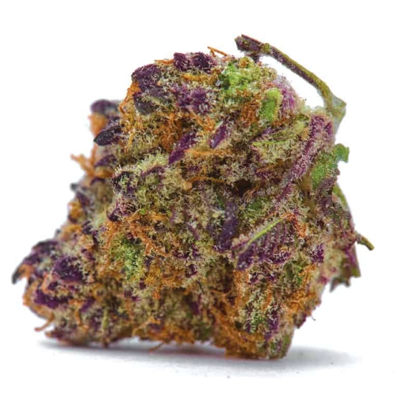 Purple Haze Auto Feminised Cannabis Seeds