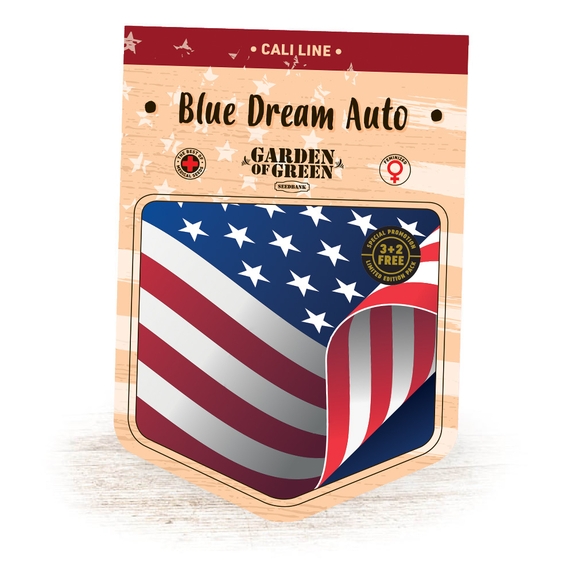 Blue Dream Auto Feminised Cannabis Seeds