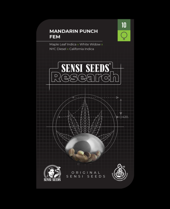 Mandarin Punch Feminised Cannabis Seeds