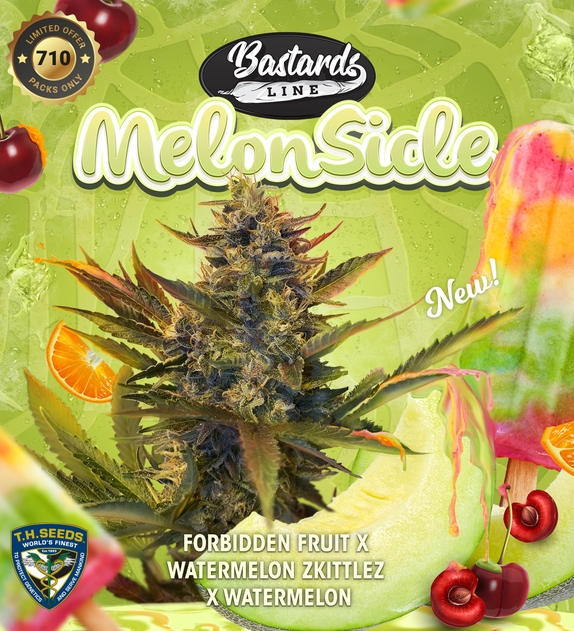 MelonSicle Feminised Cannabis Seeds