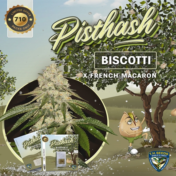 Pisthash Feminised Cannabis Seeds