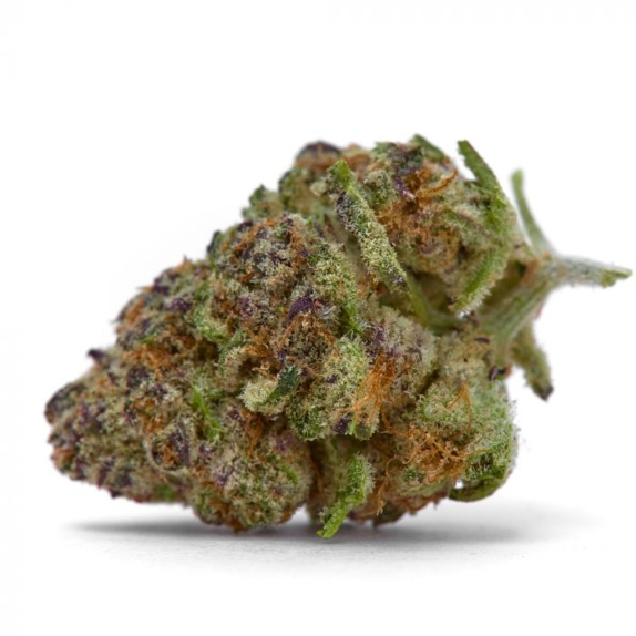 Purple Sunset Feminised Cannabis Seeds