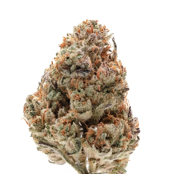 Octane Fire OG Feminised Cannabis Seeds