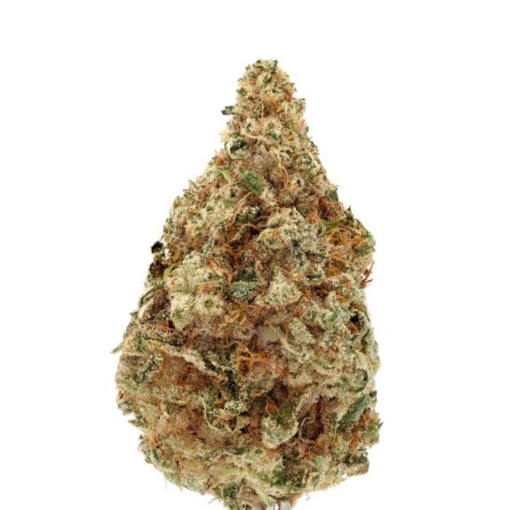 Charlottes Dream CBD Auto Cannabis Seeds