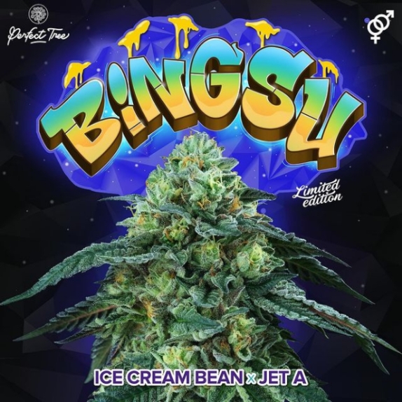 Bingsu Regular Cannabis Seeds