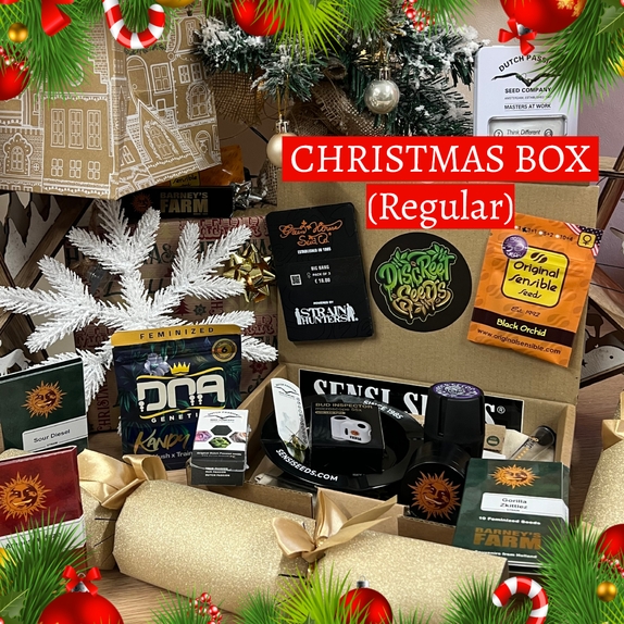Christmas Box containing Regular Seeds Cannabis Seeds