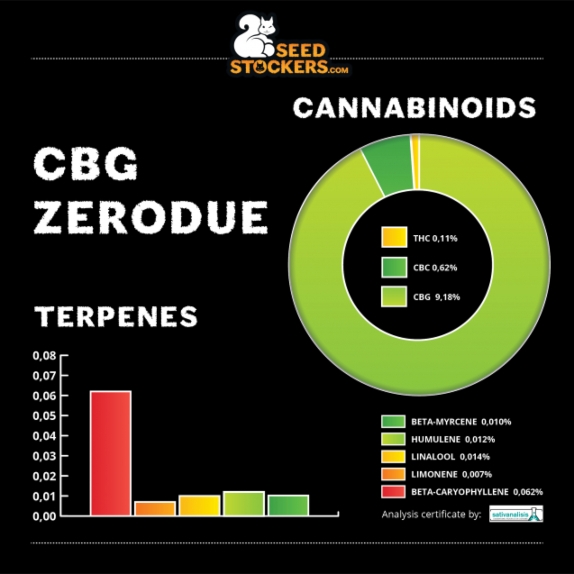 CBG Zero Due Feminised Cannabis Seeds