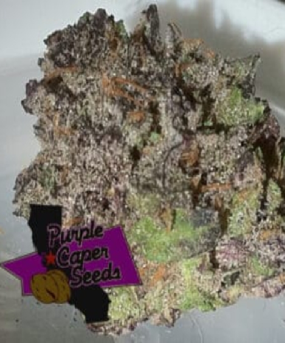 Ice Cream Caper Feminised Cannabis Seeds