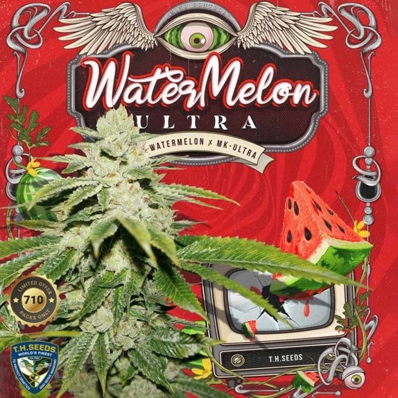 WaterMelon Ultra Feminised Cannabis Seeds