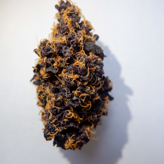 Purple Kush auto feminised Cannabis Seeds