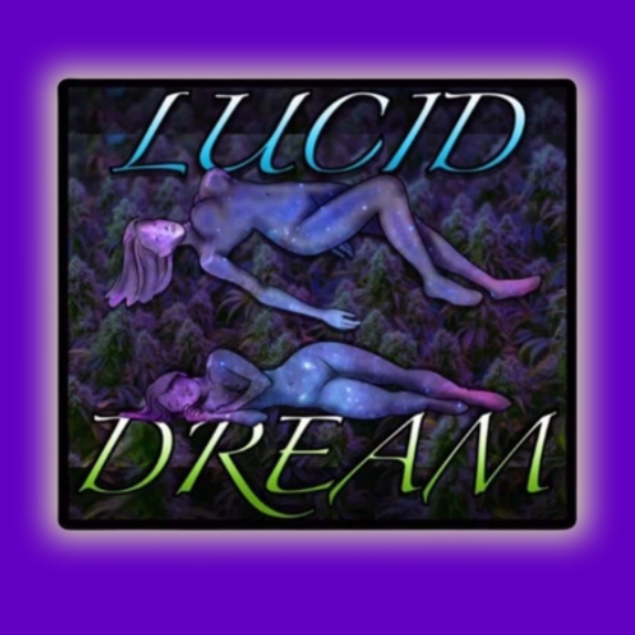 Lucid Dream Regular Cannabis Seeds
