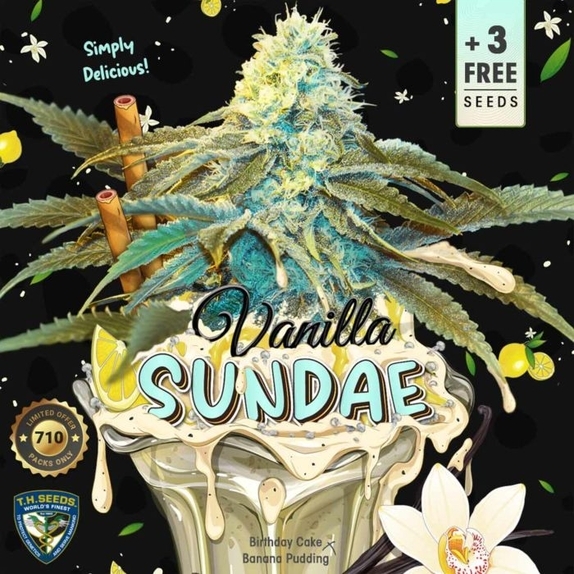Vanilla Sundae feminised Cannabis Seeds