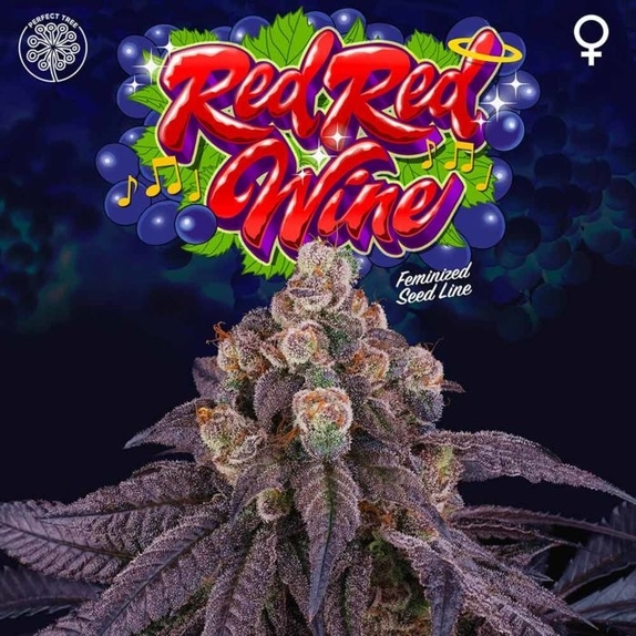 Red Red Wine Feminised Cannabis Seeds