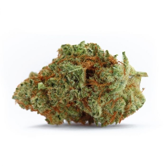 Naranja Biscotti fast version feminised Cannabis Seeds