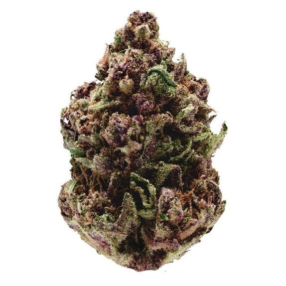 Pink Magic FAST Version Cannabis Seeds