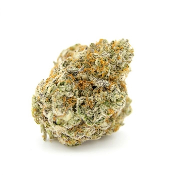 Forbidden Runtz Double XL Auto Cannabis Seeds