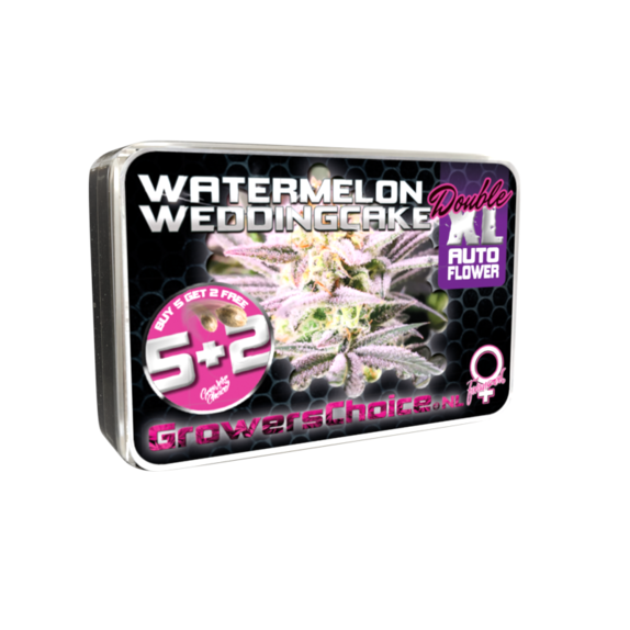 Watermelon Wedding cake Double XL Auto Cannabis Seeds