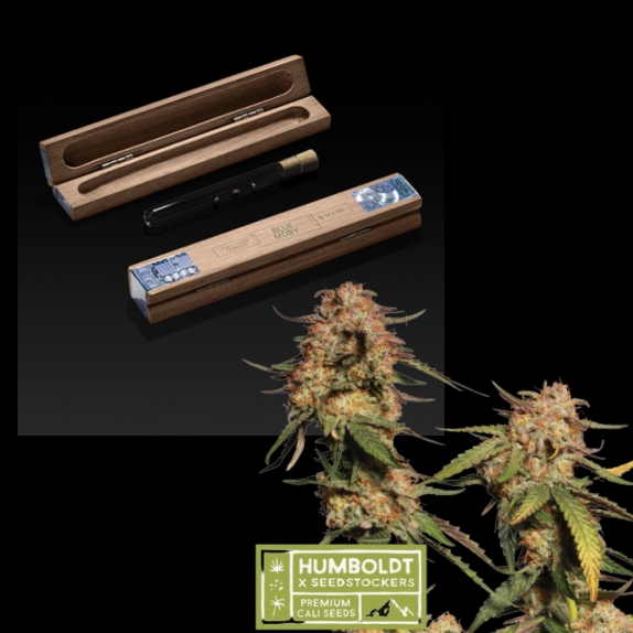 Humboldt x superior Blue Moby Feminised Cannabis Seeds