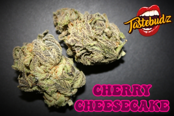 Cherry Cheesecake Auto feminised Cannabis Seeds