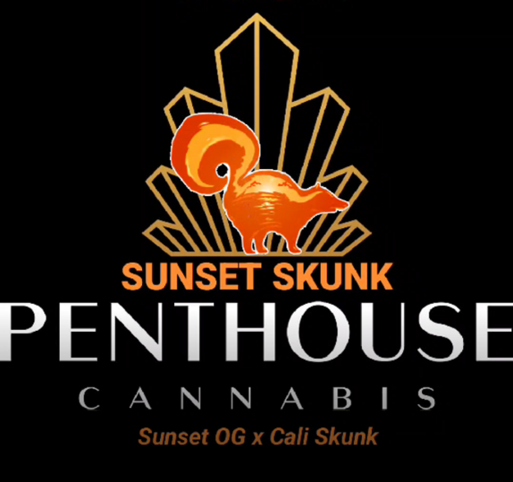 Sunset Skunk feminised Cannabis Seeds