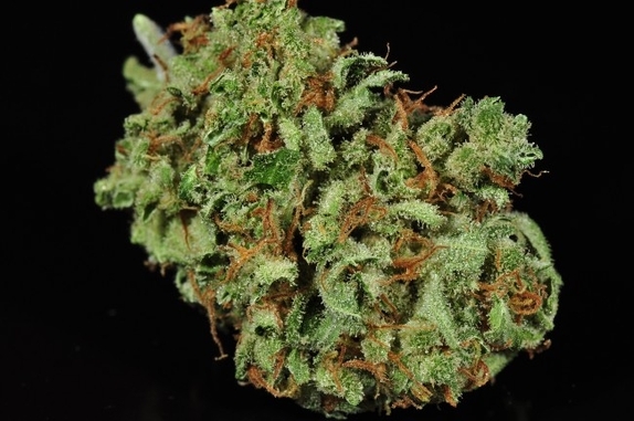Green Crack Feminised Cannabis Seeds