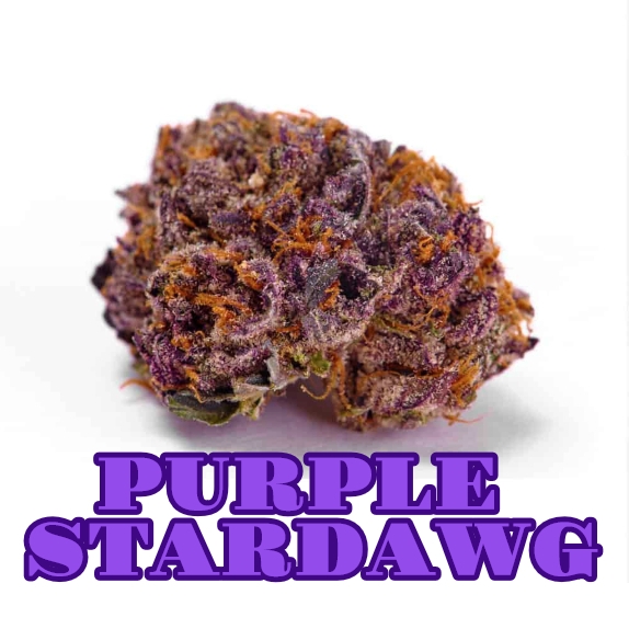 Purple Stardawg feminised Cannabis Seeds
