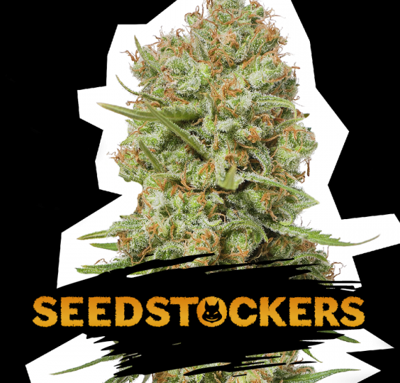 Green Crack Cannabis Seeds