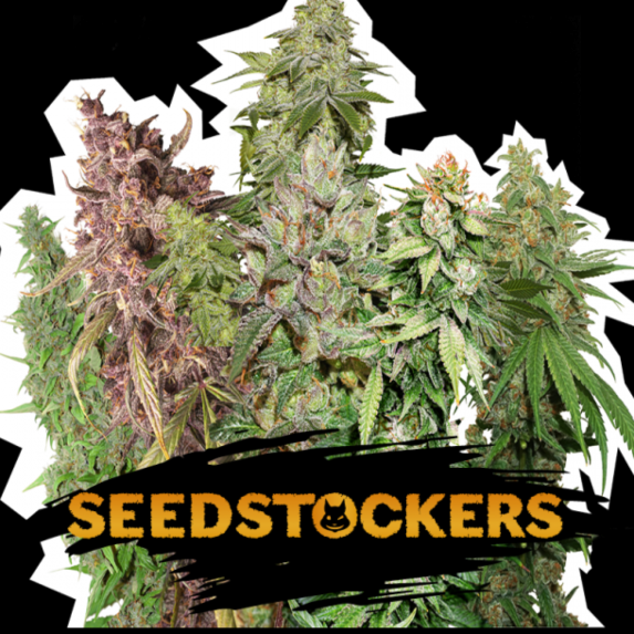 Resin Auto Mix Cannabis Seeds