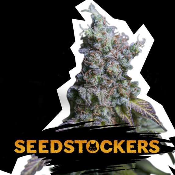 Sour Diesel Auto Cannabis Seeds