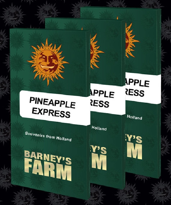 PINEAPPLE EXPRESS Cannabis Seeds