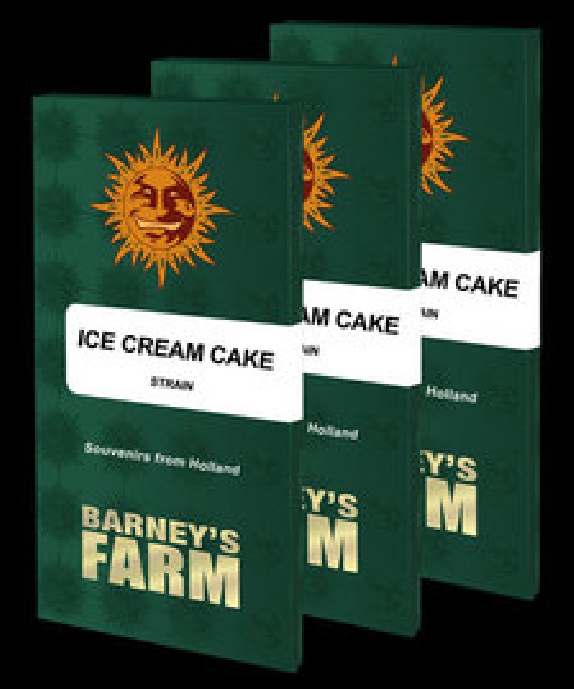 Ice Cream Cake Cannabis Seeds