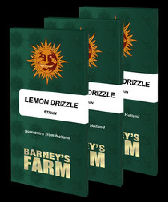 Lemon Drizzle Cannabis Seeds