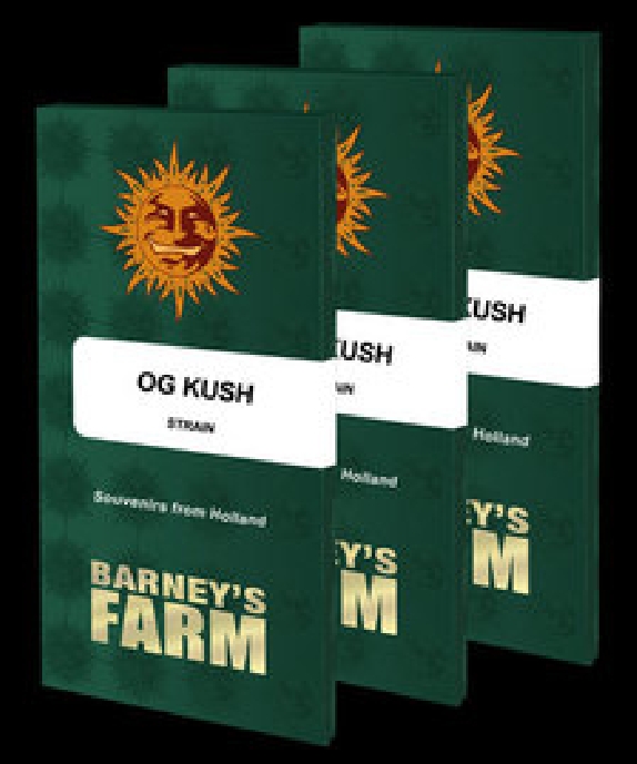 OG Kush Cannabis Seeds