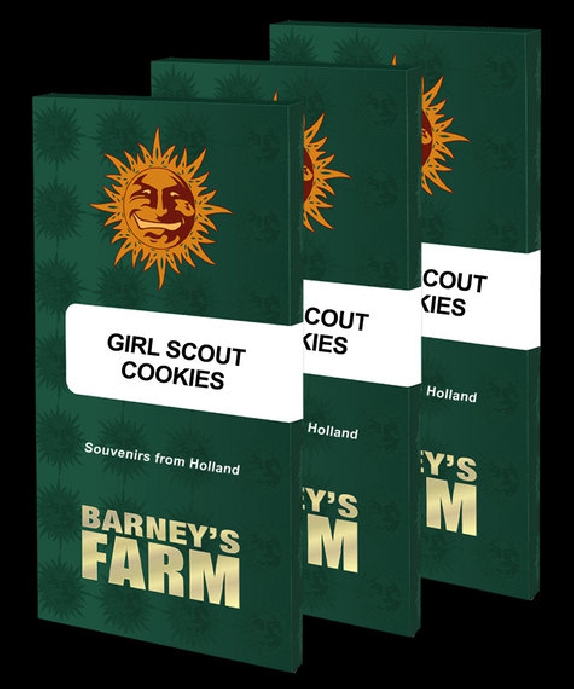 Girl Scout Cookies Cannabis Seeds