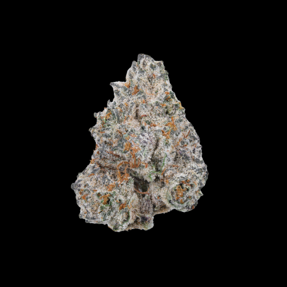 LIMITED EDITION White Truffle Cannabis Seeds