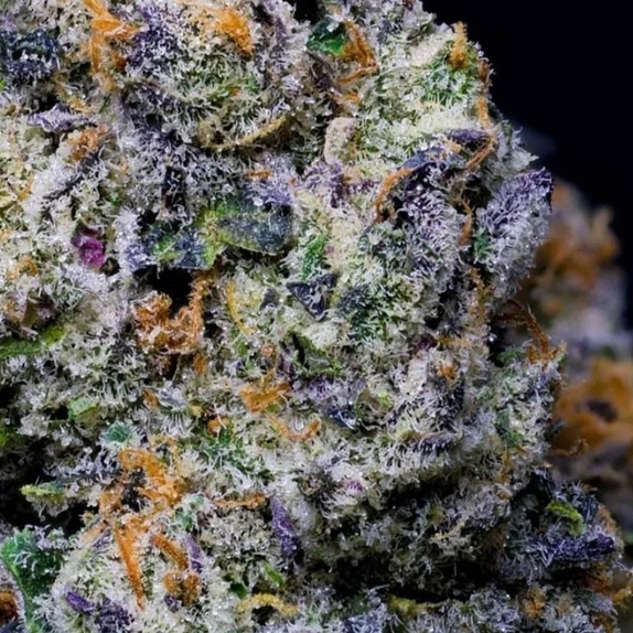 Purple Pop Rocks Cannabis Seeds