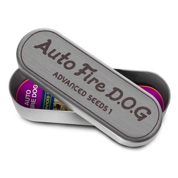 Auto Fire Dog Cannabis Seeds